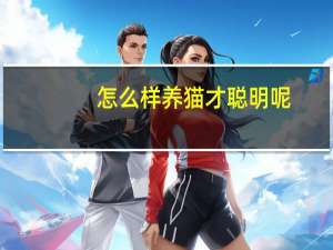 怎么样养猫才聪明呢