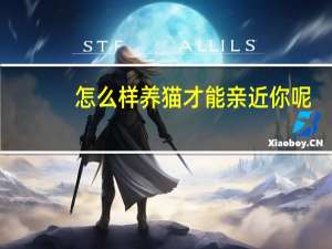 怎么样养猫才能亲近你呢