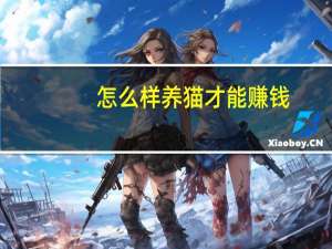 怎么样养猫才能赚钱