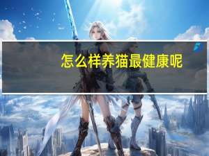 怎么样养猫最健康呢
