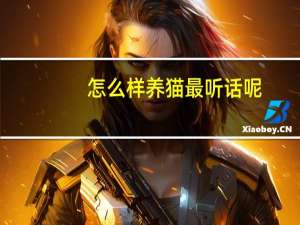 怎么样养猫最听话呢