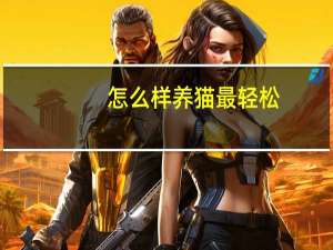 怎么样养猫最轻松