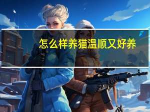 怎么样养猫温顺又好养