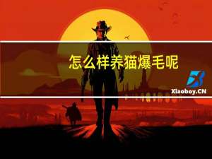 怎么样养猫爆毛呢