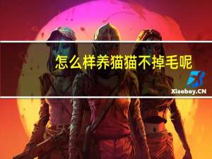 怎么样养猫猫不掉毛呢