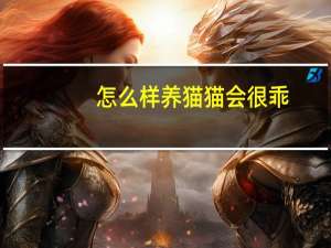 怎么样养猫猫会很乖