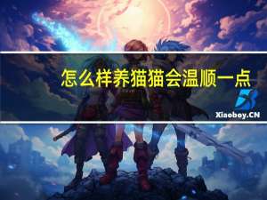 怎么样养猫猫会温顺一点