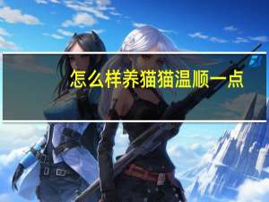 怎么样养猫猫温顺一点