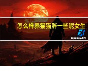 怎么样养猫猫胖一些呢女生