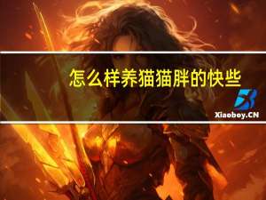 怎么样养猫猫胖的快些