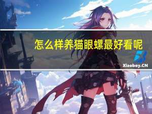 怎么样养猫眼螺最好看呢