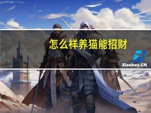 怎么样养猫能招财