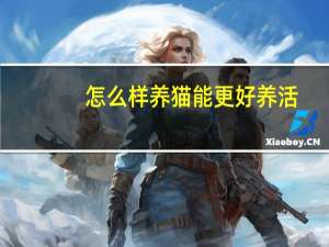 怎么样养猫能更好养活