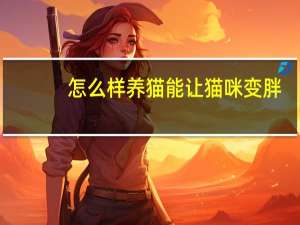 怎么样养猫能让猫咪变胖