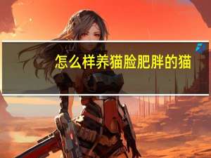 怎么样养猫脸肥胖的猫