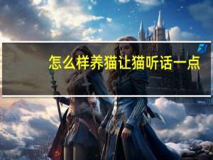 怎么样养猫让猫听话一点