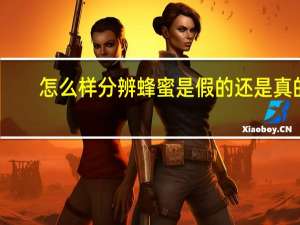 怎么样分辨蜂蜜是假的还是真的