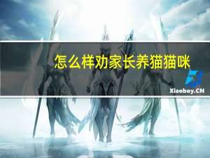 怎么样劝家长养猫猫咪