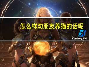 怎么样劝朋友养猫的话呢