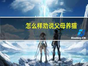 怎么样劝说父母养猫