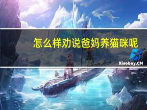 怎么样劝说爸妈养猫咪呢