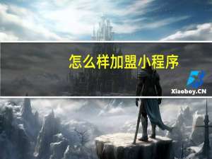 怎么样加盟小程序