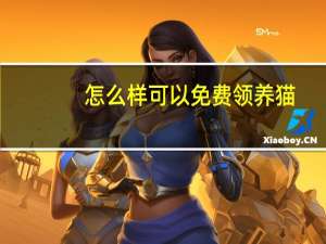 怎么样可以免费领养猫