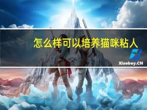 怎么样可以培养猫咪粘人