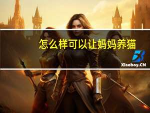 怎么样可以让妈妈养猫