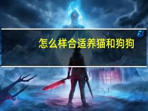 怎么样合适养猫和狗狗