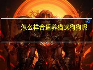 怎么样合适养猫咪狗狗呢