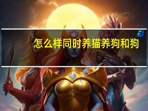 怎么样同时养猫养狗和狗