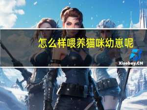 怎么样喂养猫咪幼崽呢