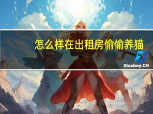 怎么样在出租房偷偷养猫