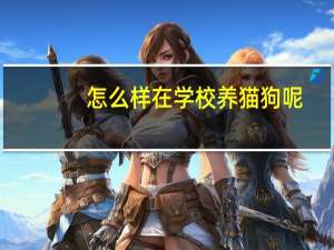 怎么样在学校养猫狗呢