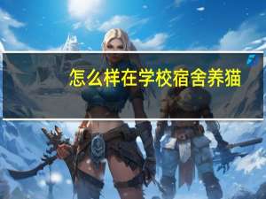 怎么样在学校宿舍养猫