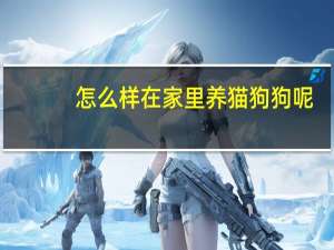 怎么样在家里养猫狗狗呢