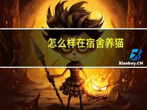 怎么样在宿舍养猫