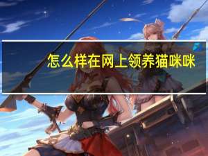 怎么样在网上领养猫咪咪