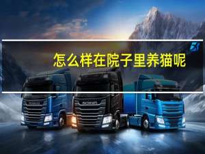 怎么样在院子里养猫呢
