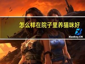 怎么样在院子里养猫咪好