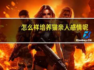 怎么样培养猫亲人感情呢