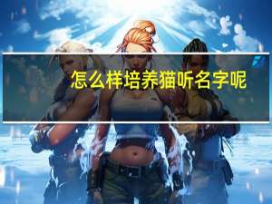 怎么样培养猫听名字呢