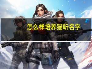 怎么样培养猫听名字