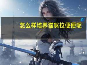 怎么样培养猫咪拉便便呢