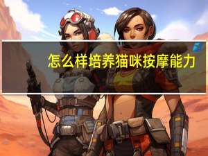 怎么样培养猫咪按摩能力