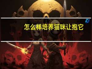 怎么样培养猫咪让抱它