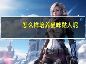 怎么样培养猫咪黏人呢