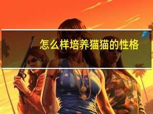 怎么样培养猫猫的性格