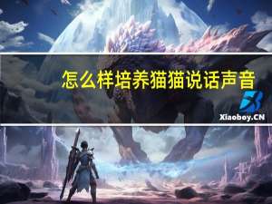 怎么样培养猫猫说话声音